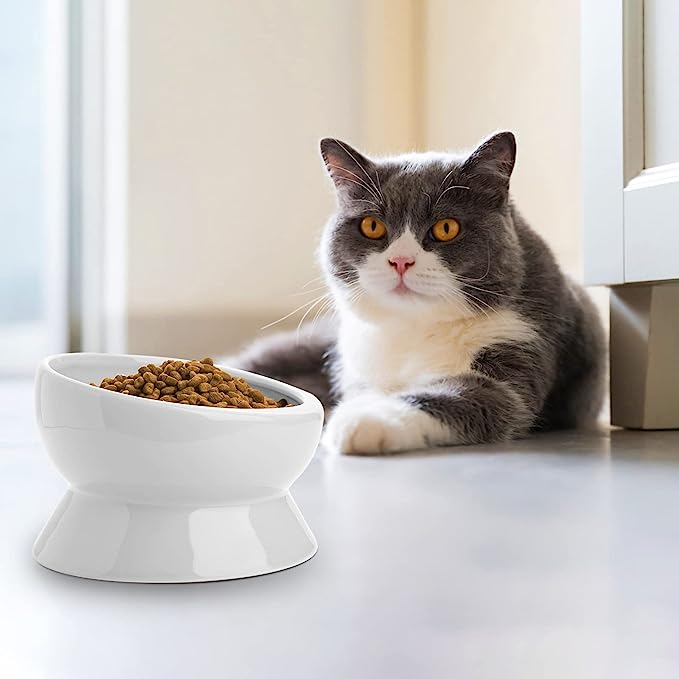 Ceramic Cat Food Bowl