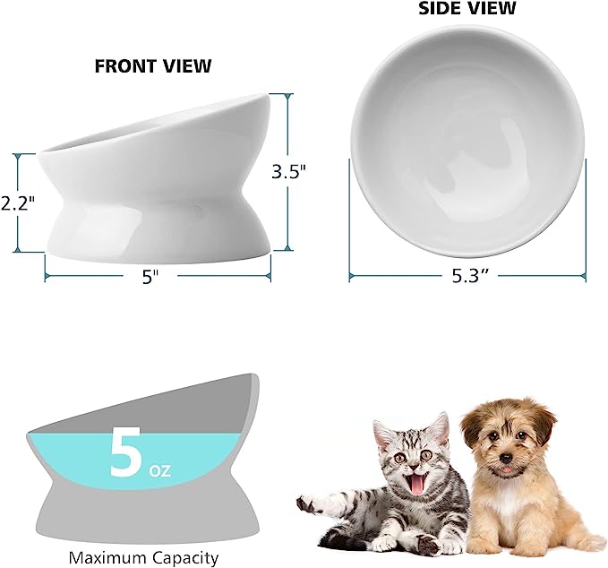 Ceramic Cat Food Bowl