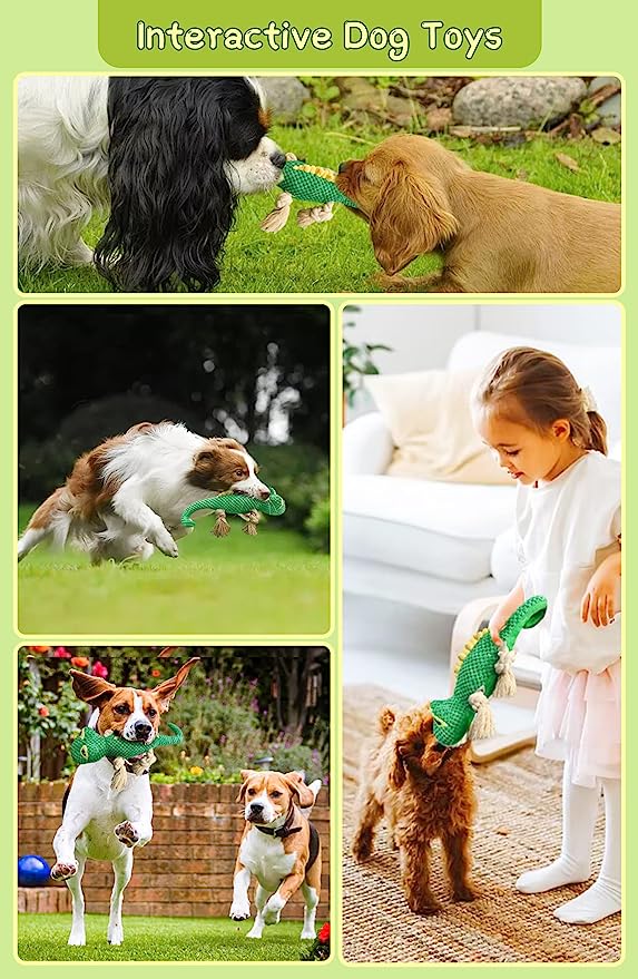 Chew Lizard Toys for Small Medium Big Large Dogs