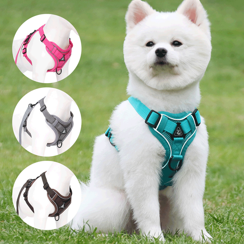 Adjustable Soft Padded Dog Vest