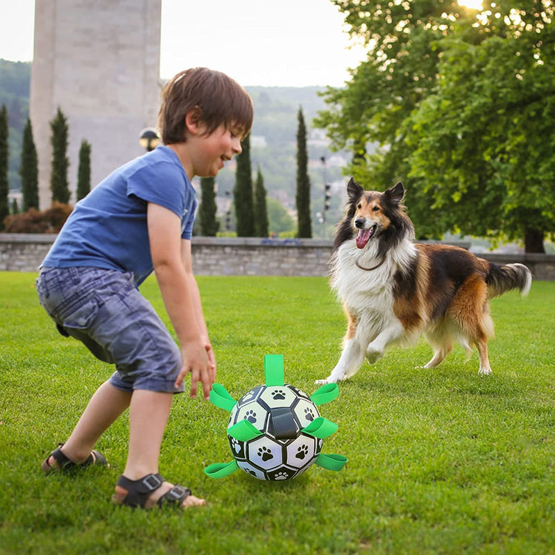 Interactive Dog Toy Soccer ball