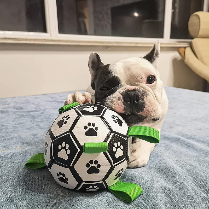 Interactive Dog Toy Soccer ball