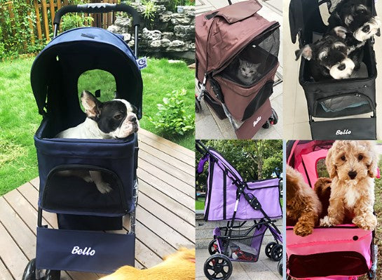 Fordable Pet Stroller for Cats & Dogs