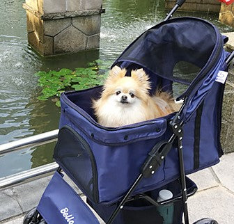 Fordable Pet Stroller for Cats & Dogs