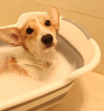 Multi-Functional Collapsible Pet Bathtub with Drainage Hole